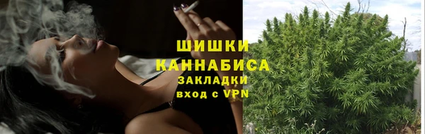 твердый Богородицк