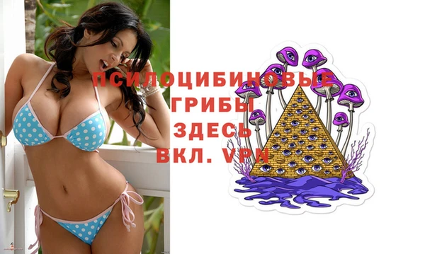 мет Богданович