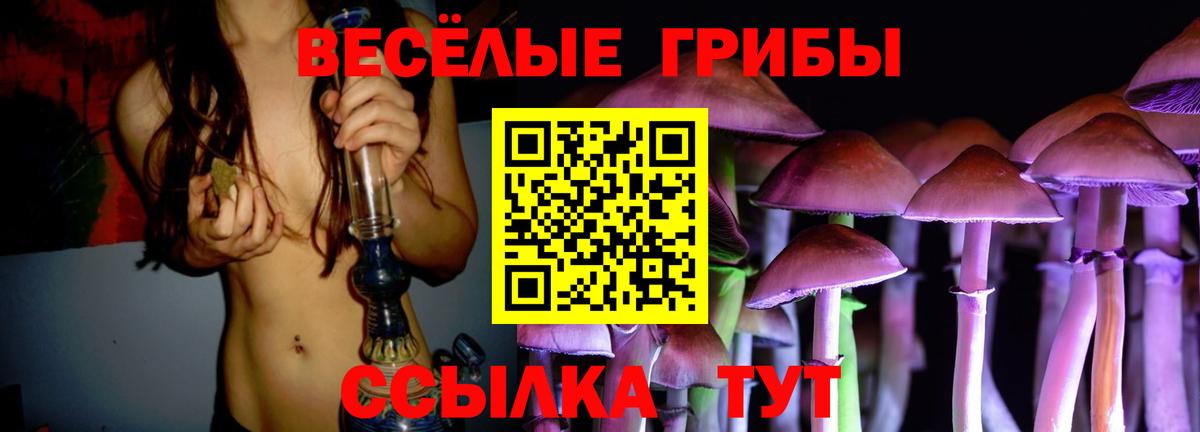 Псилоцибиновые грибы Psilocybine cubensis Реж