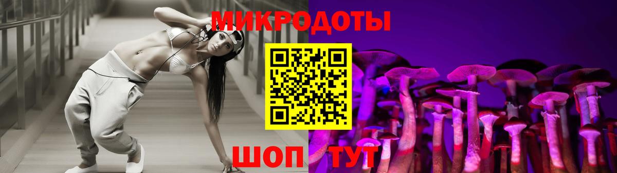 Псилоцибиновые грибы Psilocybine cubensis  Вход с VPN  Галлюциногенные грибы Psilocybine cubensis  Реж 